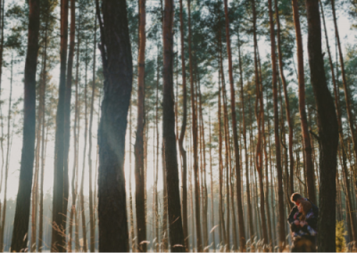 ​10个唯美爱情的英文句子短句