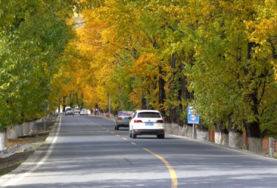 ​qq爱情留言大全短句（qq对象留言简短暖心话）