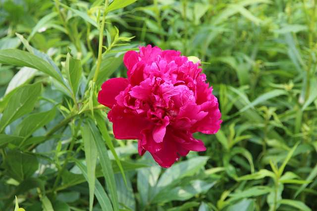 让恋人炸毛的话一句话让对象生气翻脸