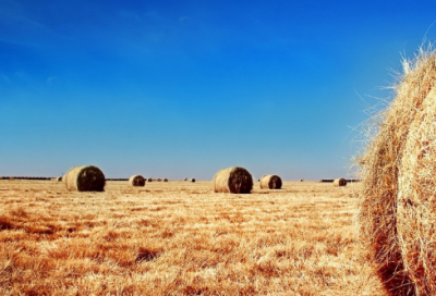 ​恋爱宣言简短（简单又浪漫的爱情宣言）