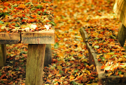 1686590213212533.png image.png