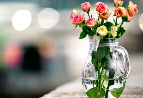 1686591545126728.png image.png