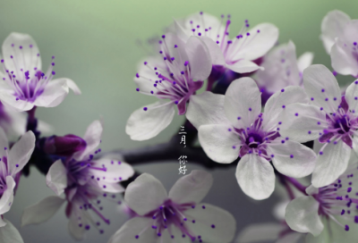 ​qq女生简短伤感网名两个字(共521个)