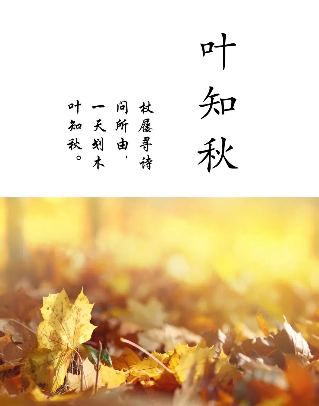 好听阳光大气，有诗意内涵的男孩女孩名字