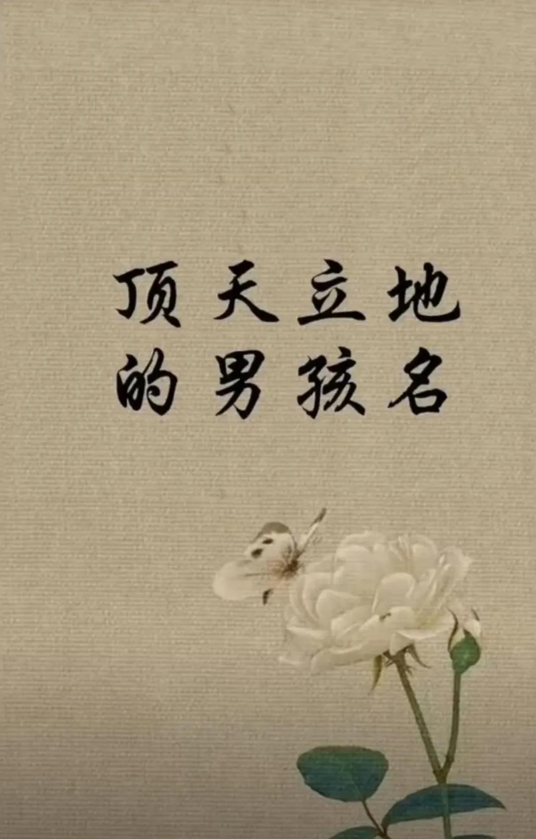 顶天立地、前程似锦一帆风顺男孩名字