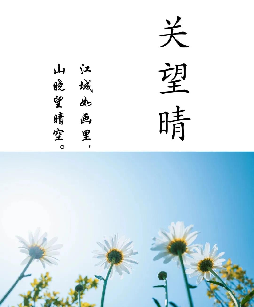 好听洋气有诗意，男孩女孩起名字，国学起名经典版