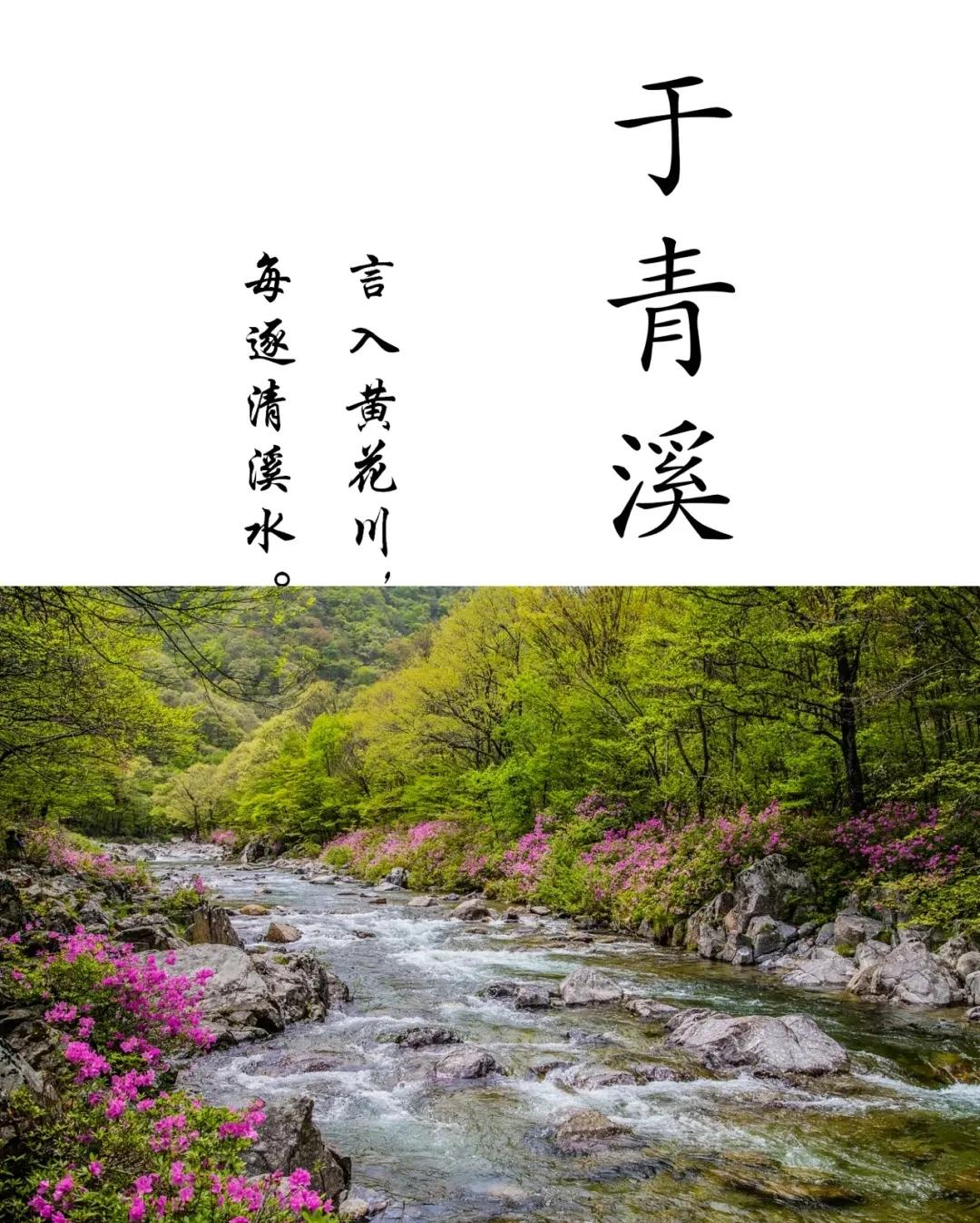 好听洋气有诗意，男孩女孩起名字，国学起名经典版