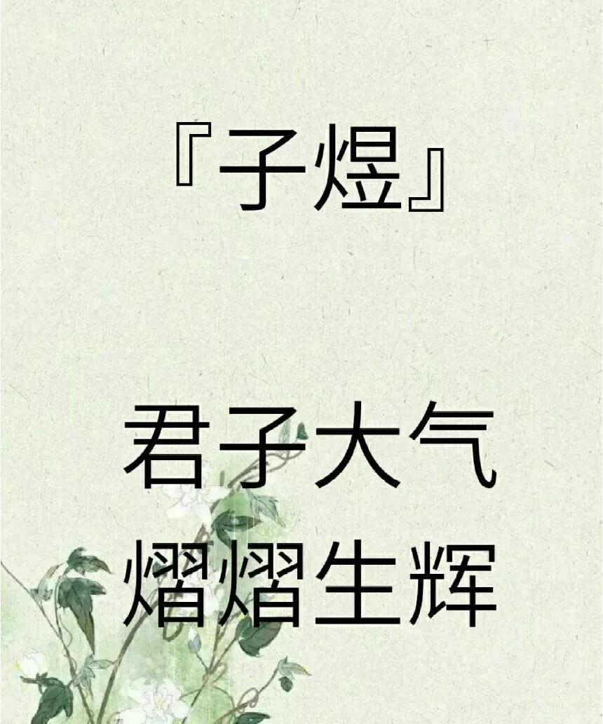 好听洋气有内涵，前途似锦朗朗上口的男孩名字