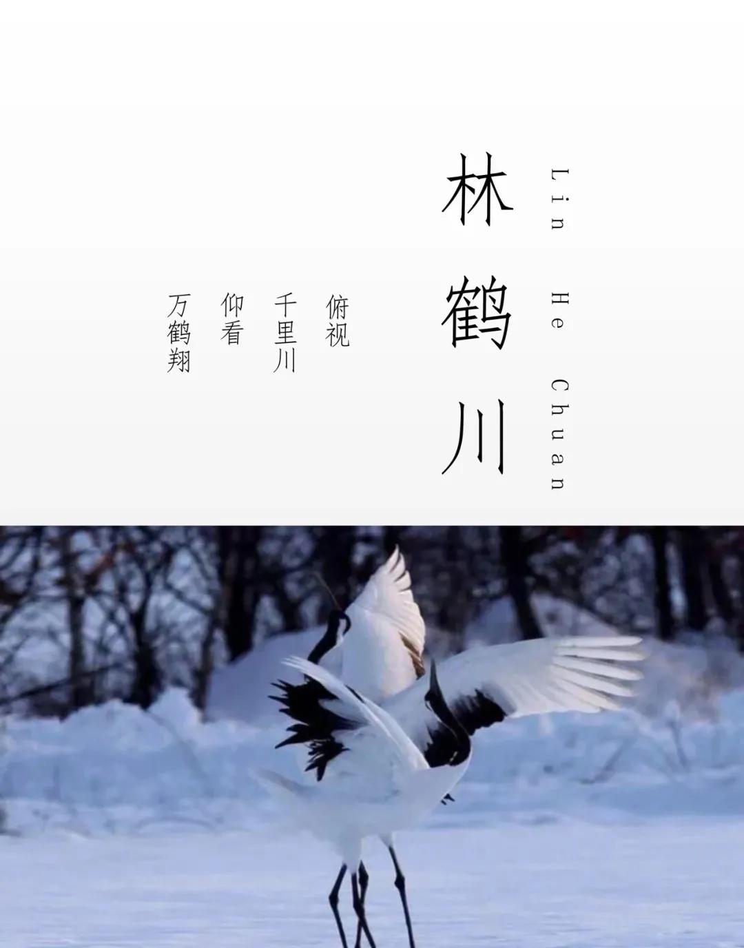 男孩女孩涵养大气名字，出自诗词典故，有文化底蕴
