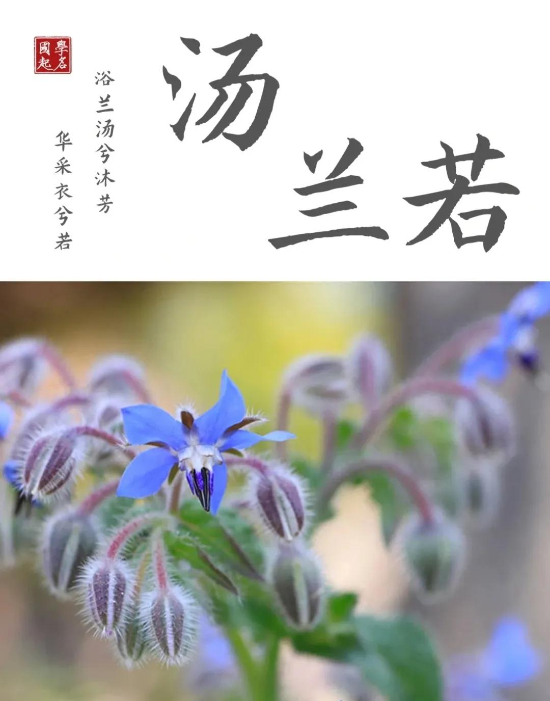 好听有内涵，诗词中寓意好的男孩名字女孩名字