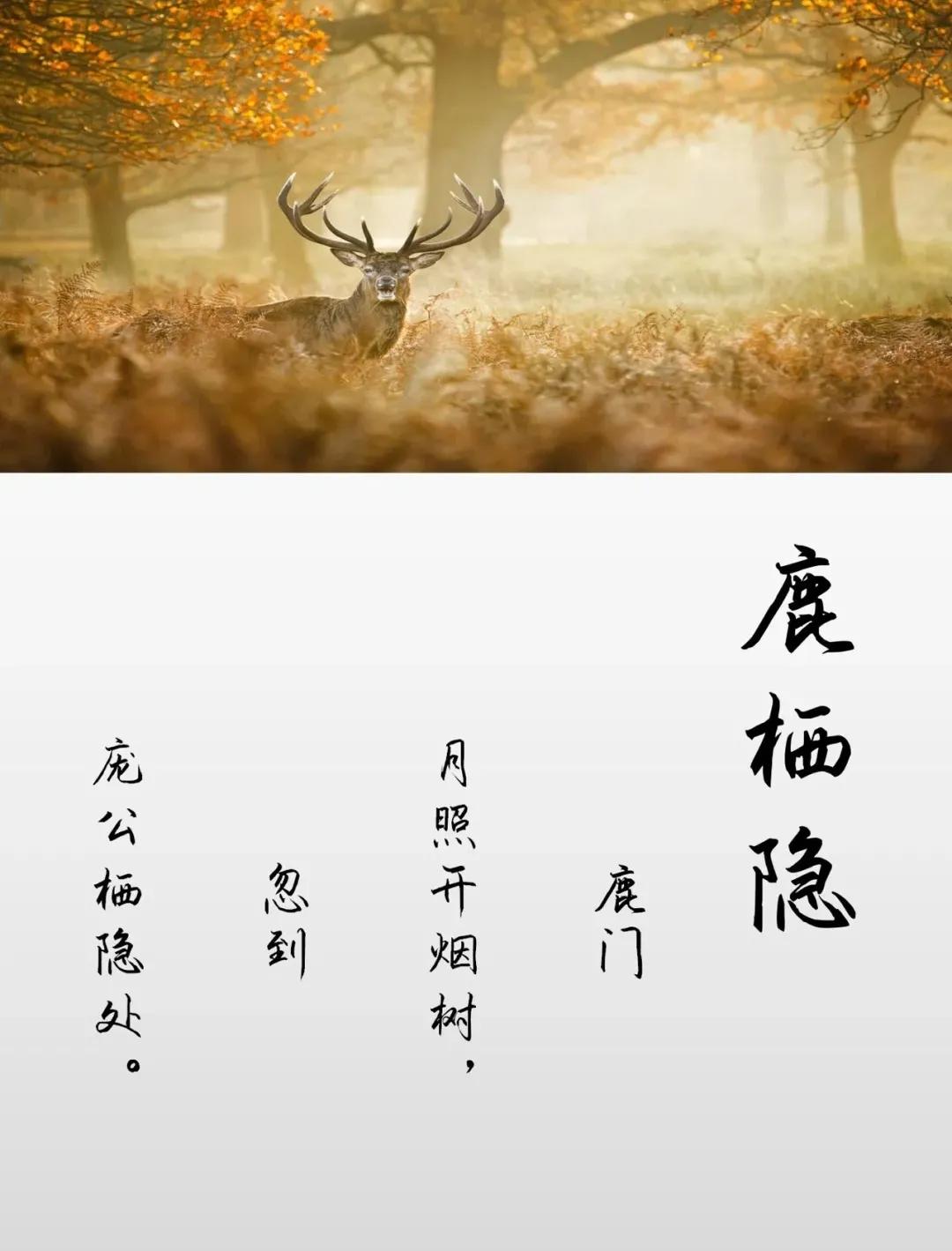 诗意优雅，新颖独特，好听有气质的女孩名字