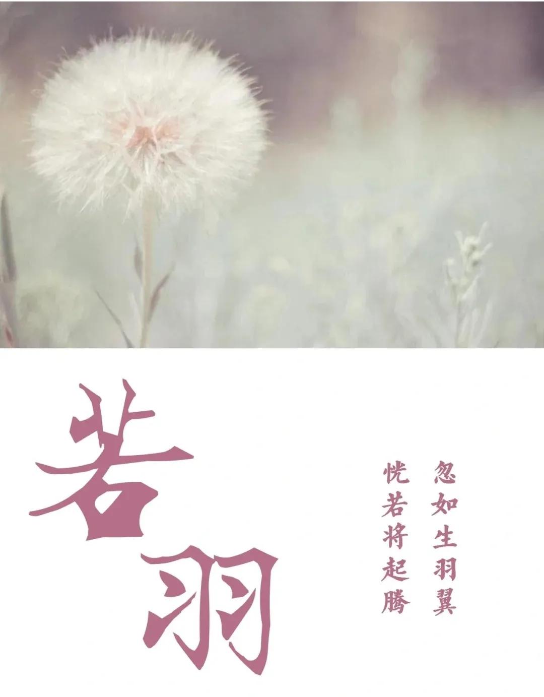 阳光开朗，好听有内涵的女孩名字简单大方
