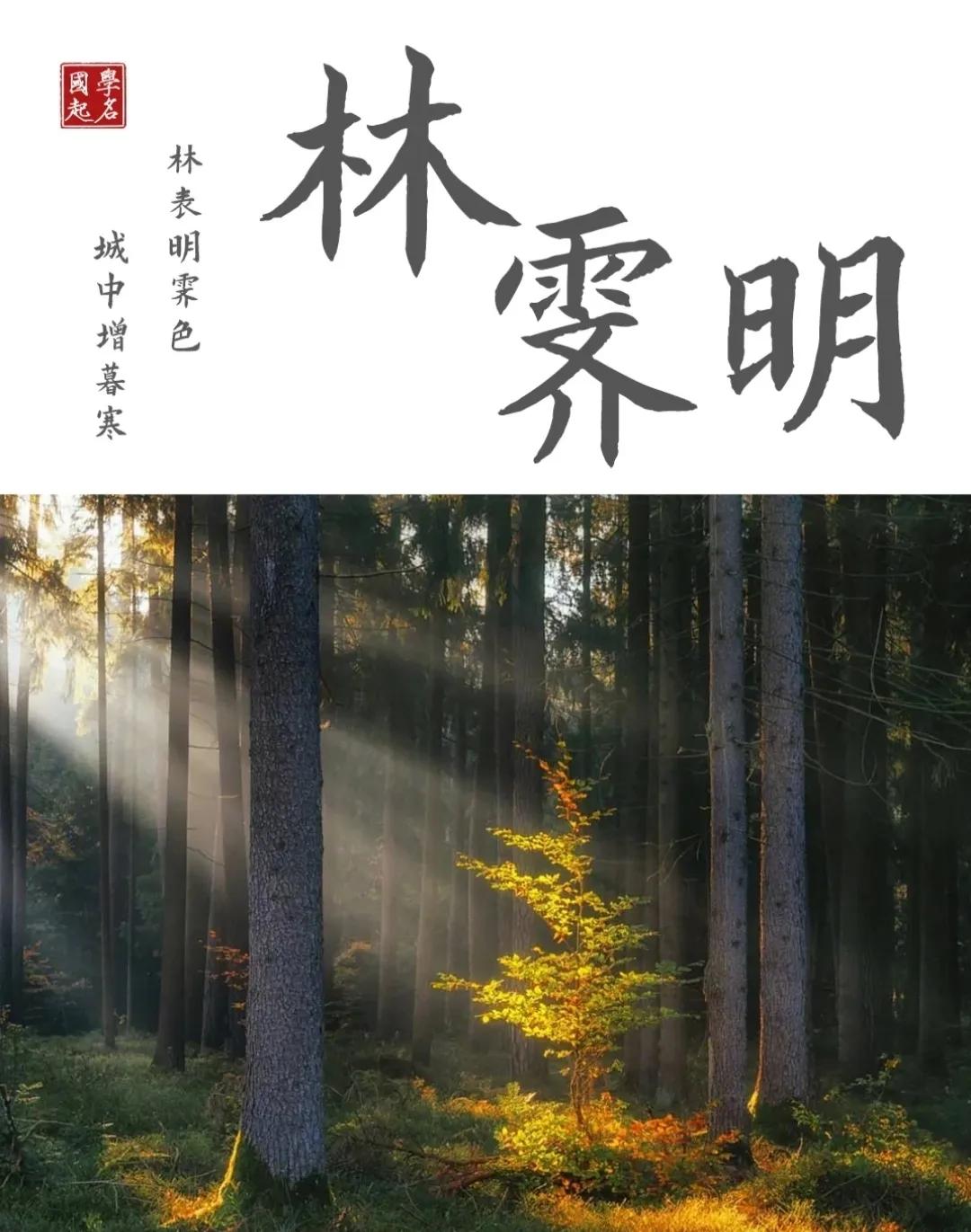 好听洋气，有诗意有涵养的男孩女孩名字