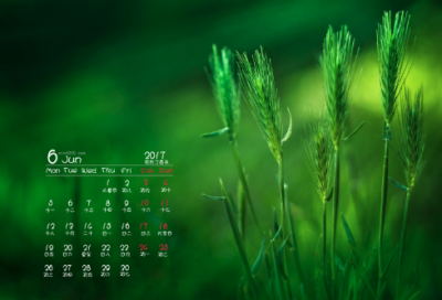 ​2023年除夕祝福语 2023虎年除夕祝福语(精选90句)