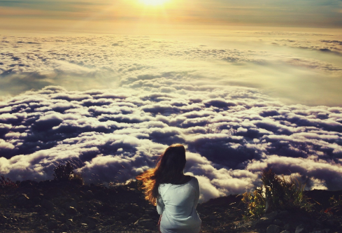 1689586817138527.png image.png