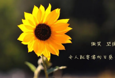 ​低调不失霸气游戏名字(共205个)