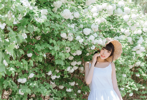 1693418440303976.png image.png