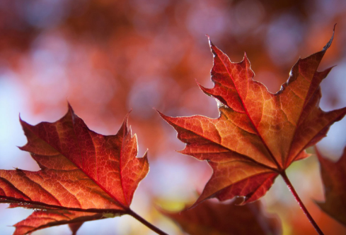 1694675538115424.png image.png