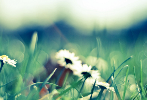 1694678361521846.png image.png