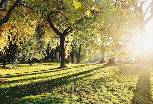 1702532351273768.png image.png