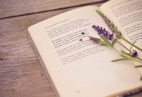 1702550270861108.png image.png