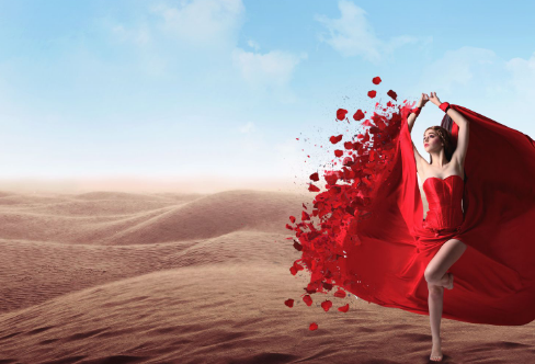 1706646541808136.png image.png