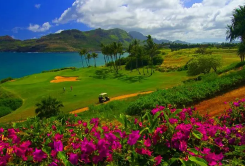 1709282712615139.png image.png