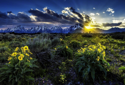 1709290940102041.png image.png