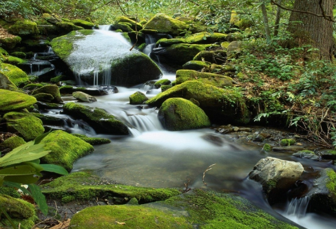 1709314445232844.png image.png