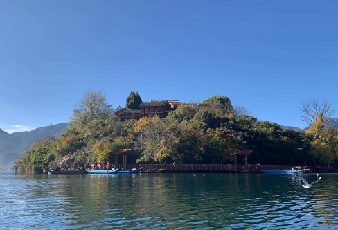 1709315452450973.png image.png