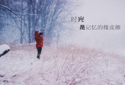 ​花带来的美好心情说说200句