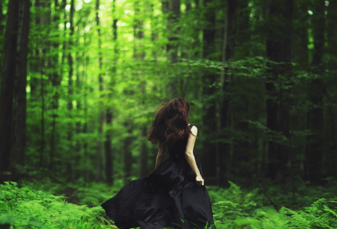 1711615532112416.png image.png