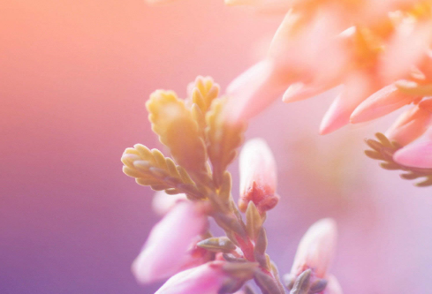 1711663445697588.png image.png