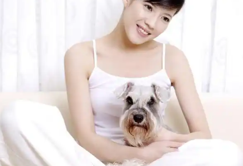 1780380185946248.png image.png