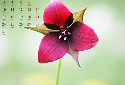 1780416456110014.png image.png